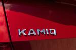 Skoda Kamiq 2019 года (WW)